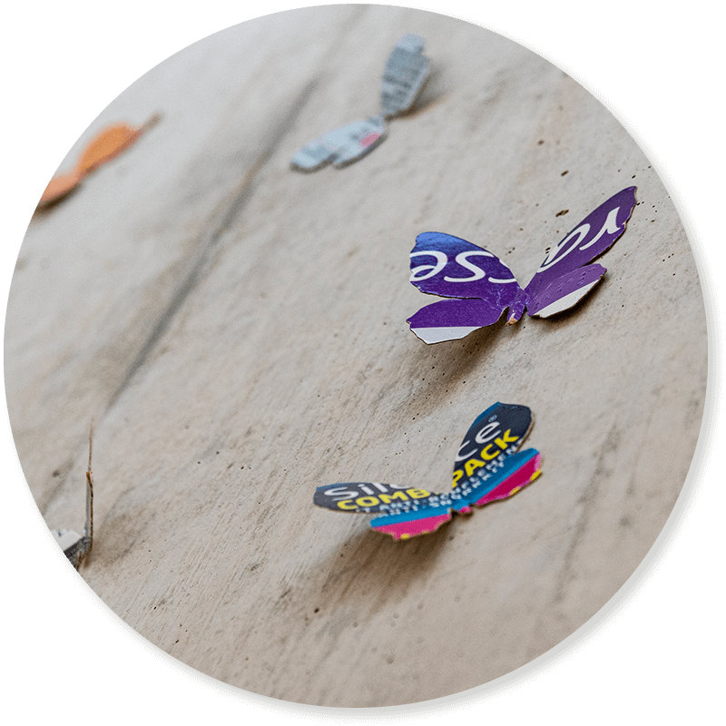 Schmetterlinge Benamse Visual Schmetterlinge Kontakt